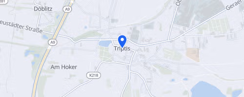 Triptiser Stadtwaldlauf