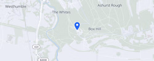RunThrough Trails Beat Box Hill October