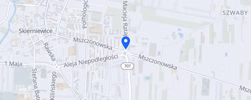 Skierniewicki Bieg Niepodleglosci