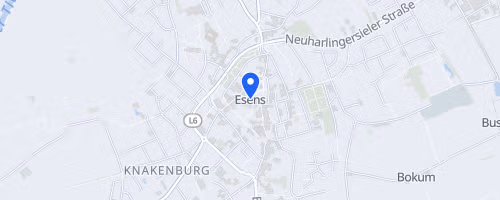 7. Esenser Volksbanklauf - 31. Stadtlauf
