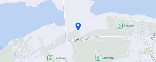 Brabrand Sø Halvmarathon