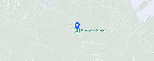 Auckland Trail Run & Walk - Riverhead Forest