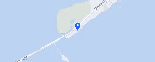 Swim for Alligator Lighthouse