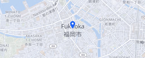 Chikugogawa Marathon