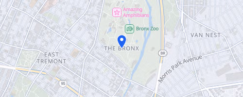 New Balance Bronx 10 Mile
