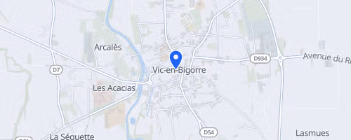 Foulée des 1000 pattes - Vic-en-Bigorre