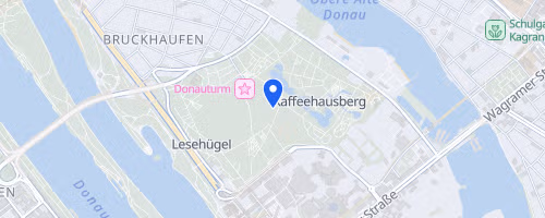 37. Sri Chinmoy Donauparklauf