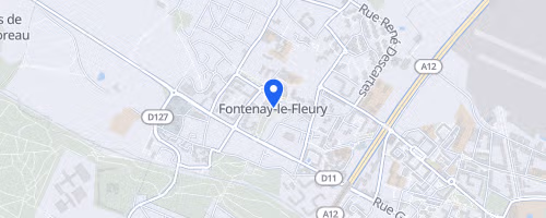 La course royale - Fontenay-le-Fleury