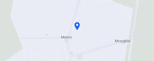 Bieg Pamięci Bitwy Pod Mokrą