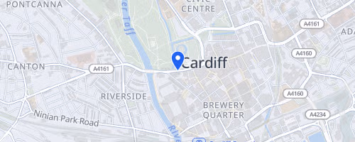 Cardiff Half Marathon