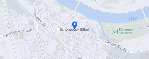 13. Schönebecker Drei-Brücken-Lauf - Landescup 14