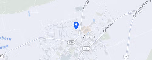 19. Aerzener twinfit-Volkslauf