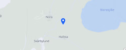 Blodomloppet Eskilstuna
