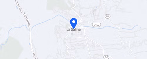 Foulée De La Cote Ouest - La Saline