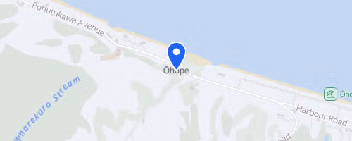 Whakatāne Bush Half Marathon