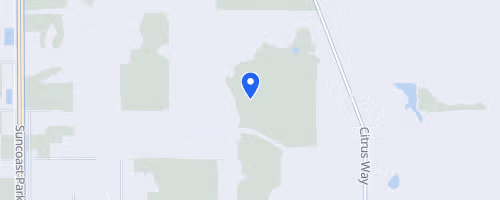 Withlacoochee Forest Trail Marathon