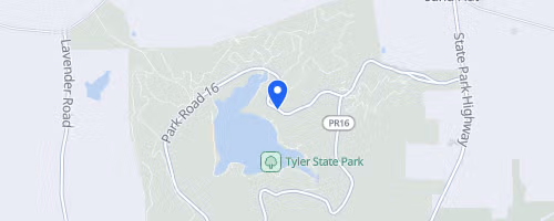 Dead Night Pines Trail Run