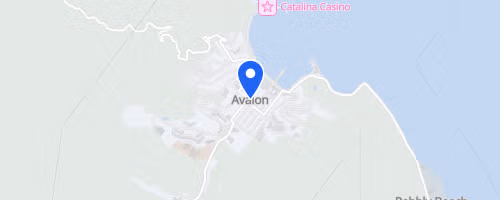 Avalon Benefit 50 Mile/50K Run