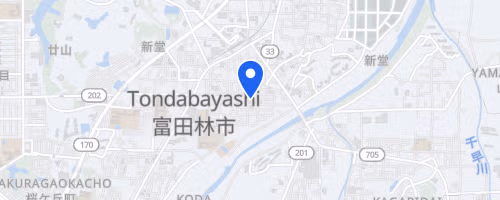Ecomarathon de Tondabayashi
