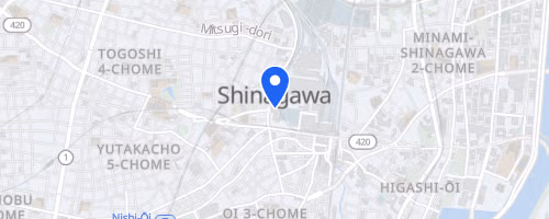 第10回大井東京夏マラソン