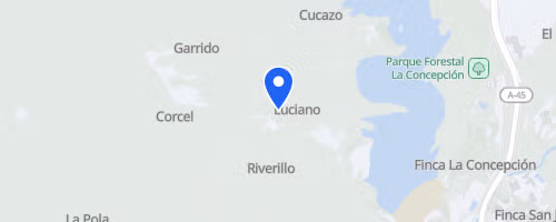 Ponle Freno Málaga 5k