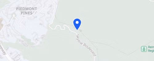 Redwood (Spring) Trail Run