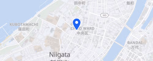 Niigata City Marathon