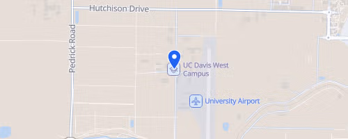 Davis Turkey Trot