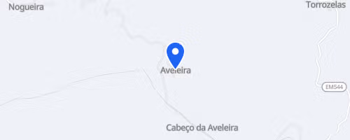 Caminhada em Movimento