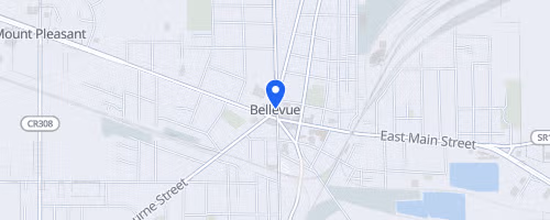 Bellevue 5k