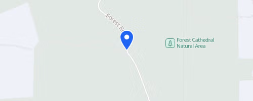 Cook Forest 25k Trail Challenge