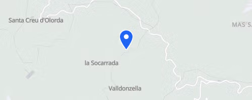 Cursa per Collserola