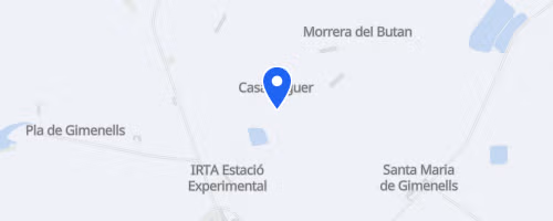 Social Run Gimenells