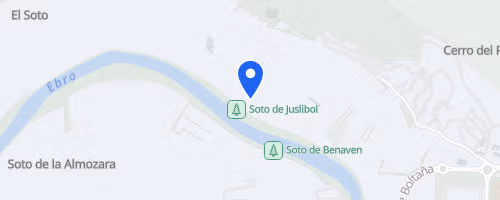 Marcha Nocturna de Zaragoza