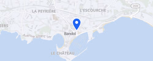 Salomon Bandol classic