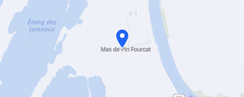 Course nature sauvage - Saintes-Maries-de-la-Mer