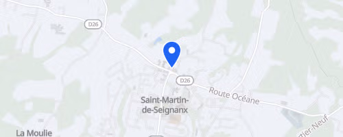 La corrida de senhans - Saint-Martin-de-Seignanx
