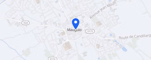 Mauguio corrida pédestre solidaire