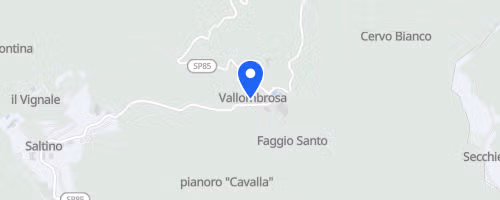 13° Green Run – Vallombrosa Trail