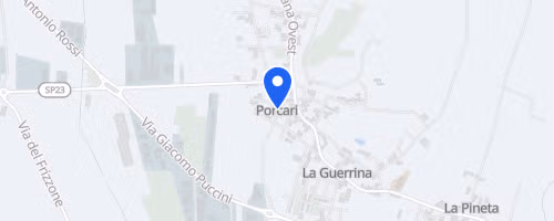La corsa dei 100