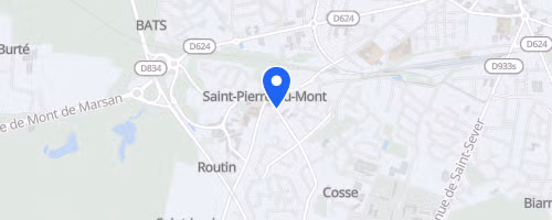 Les foulees bleues - Saint-Pierre-du-Mont