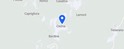 14° CorriCecina