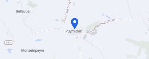Foulées gauloises - Puymiclan