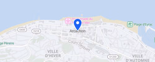 Marathon Du Printemps D'arcachon