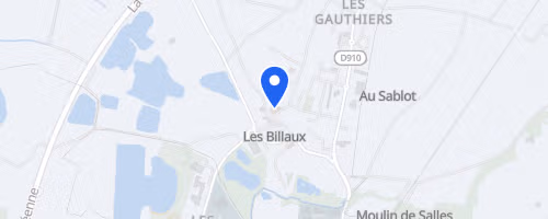 Course pédestre du marais des brizards - Les Billaux