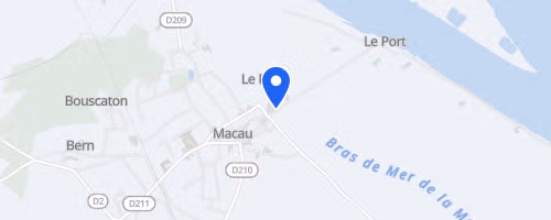 La course de l'artichaut