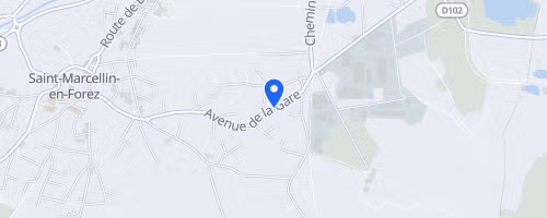 La course nature marcellinoise - Saint-Marcellin-en-Forez
