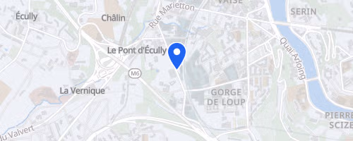 Aquathlon Du Lyon