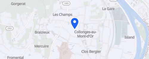 Run Ecully - 10 km 2026