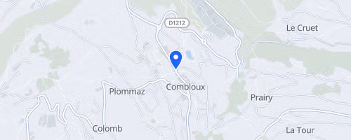 Handisport Coupe de France Ski alpin & Open - Combloux